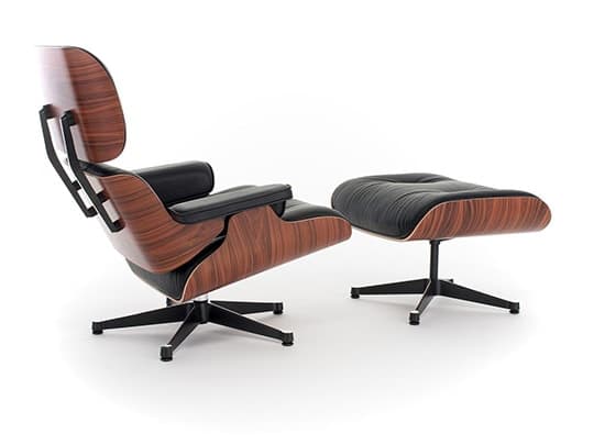 dog house collar - happy dog wearing indoor collar near modern dog house