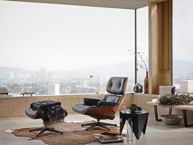 best dog leash australia length comparison guide