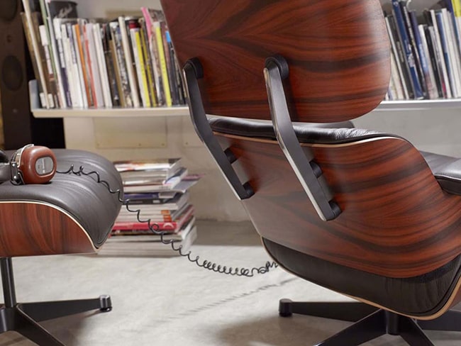 large litter tray - Professional Guide and Review