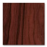 padded dog stairs in real Australian lounge room with dog using them