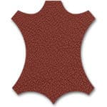 cat airtag size comparison with GPS pet tracker devices