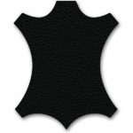 Australian adult considering where to buy warm dog bed for pet comfort during winter