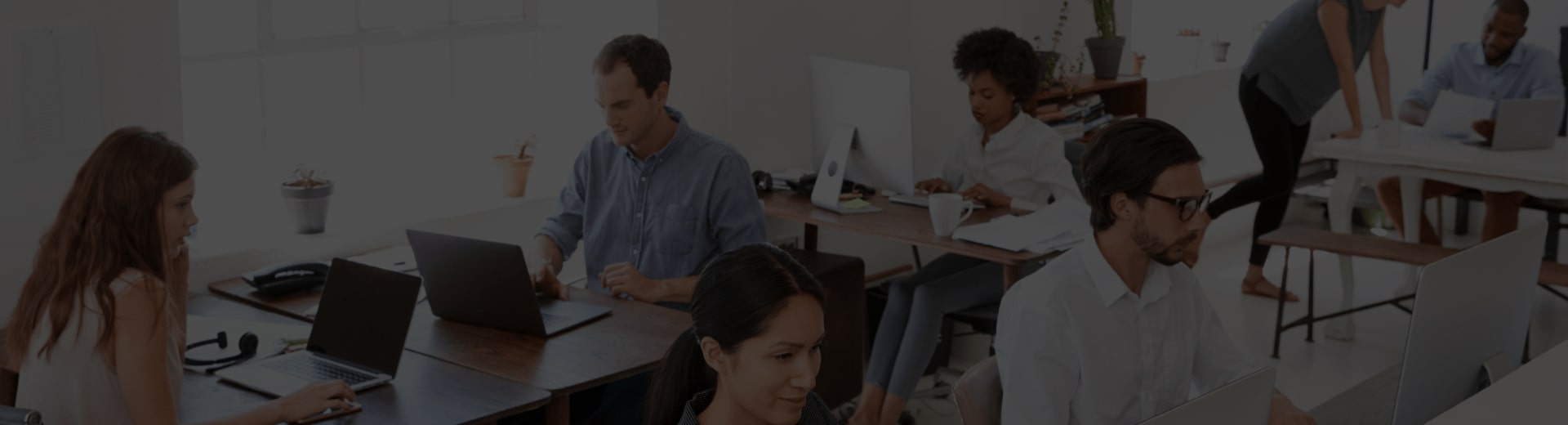 dogs water - Professional Guide and Review