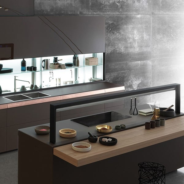 Owner documenting dog toy birthday cortisol study results