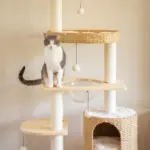 Premium Solid Wood and Natural Wicker Cat Tree - Image 6