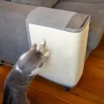 Cat Scratch Mat Couch Protector