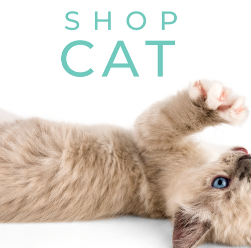 grooming comb for dogs - Professional Guide and Review