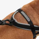 SofterWalk No Pull Dog Harness | Gotham - Image 5