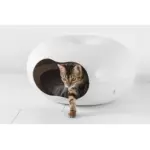 Moderna Donut Cat Cave, Plastic Bed for Cats & Small Dogs - Image 7