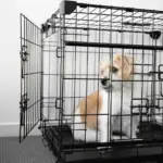 Sliding Door Dog Crate - Image 3