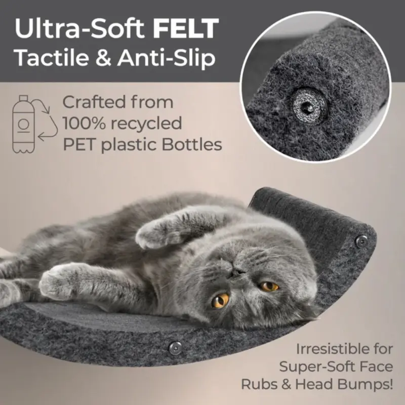 canine anti itch - Professional Guide and Review