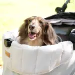 Ibiyaya All Season Pet Stroller Cushion Set, Earthy Brown - Image 3