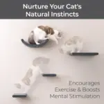 Cat Climber Set of 4 Shelves, Charcoal - Image 4