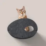 Cat Climber Set of 4 Facade Add-Ons, Charcoal - Image 3