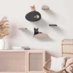 dog leed|double pet stroller for dogs - Image 2