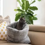 Cosy Cat Burrow, Artic Fur - Image 6