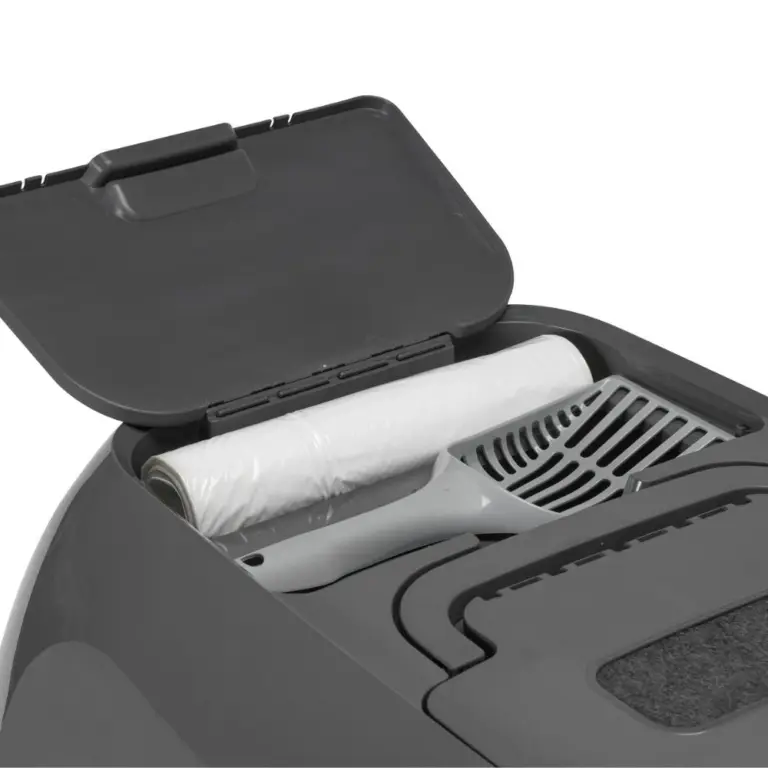 dog teeth cleaning cost melbourne - Professional Guide and Review