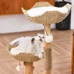 Michu Premium Real Wood Cat Tree | Large - Image 3