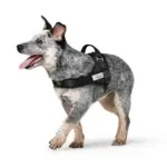 Hunter Norwegian Ranger Dog Harness - Image 2