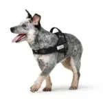 Hunter Norwegian Ranger Dog Harness - Image 6