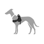 Hunter Norwegian Ranger Dog Harness - Image 3