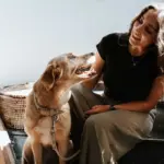 Hunter Dog Collar Amalfi, Tan - Image 7