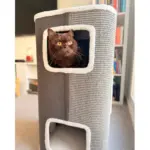 Tri-Level Square Cat Condo with Sherpa Lining - Image 3