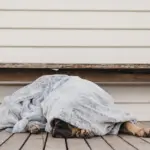 T&S Pet Blanket, Moonlight Grey - Image 3