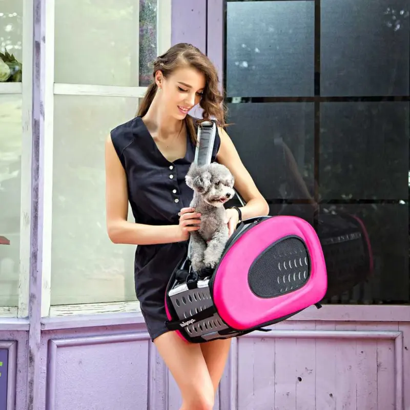 puppy with backpack - Professional Guide and Review