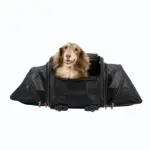 Ibiyaya JetPaw 3-in-1 Pet Stroller with Removable Airline Carrier - Image 5