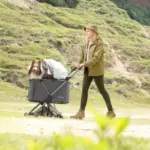 Ibiyaya Maxi Deep Carriage Pet Stroller, Twin Grey - Image 10