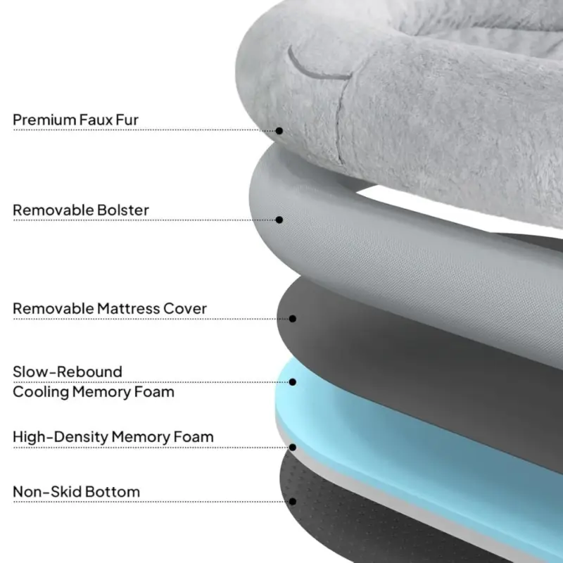 kitter litter tray - Professional Guide and Review