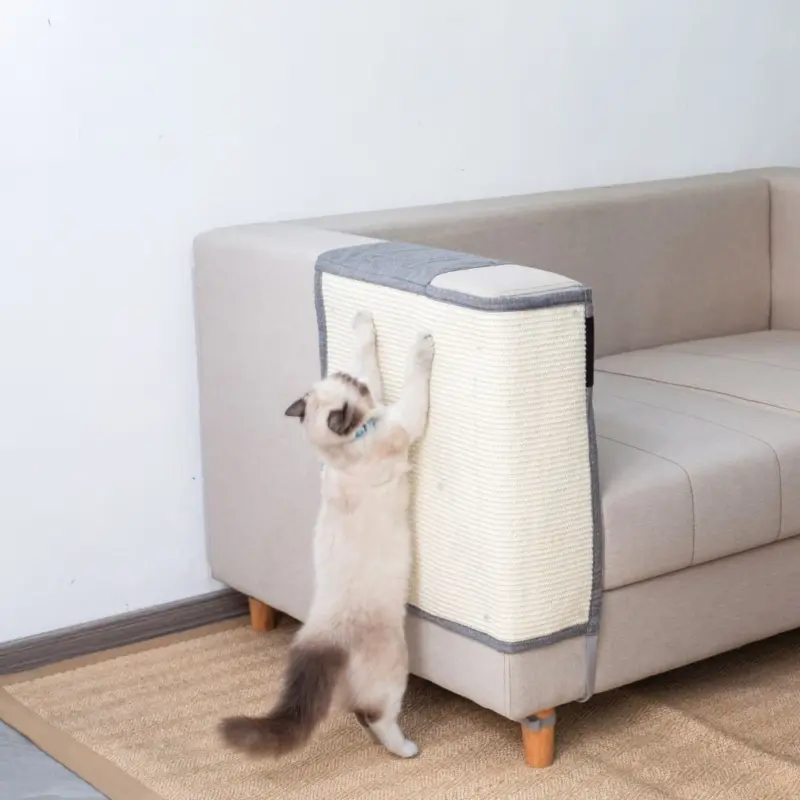 puppy car seat belt - Professional Guide and Review