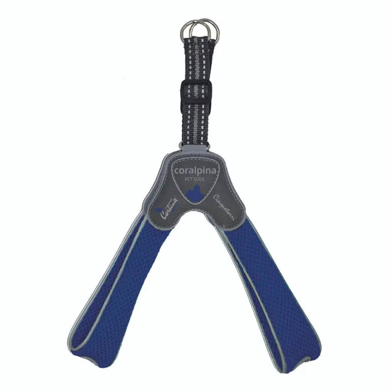 console dog car seat - Professional Guide and Review