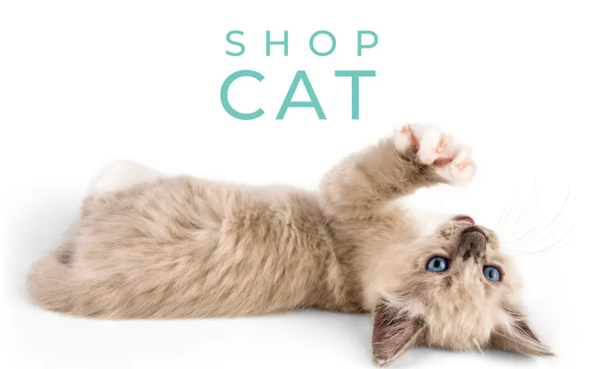 extra large cat litter trays australia