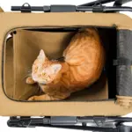 Ibiyaya BigBuddy Pet Stroller and Crate Combo, Camel - Image 7