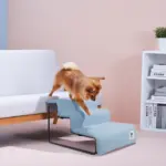 Ibiyaya Everest II Pet Stairs for Dogs & Cats, Dusty Blue - Image 6