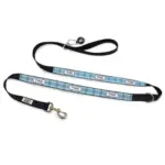 Personalised Dog Leash - Furberry, Blue - Image 2