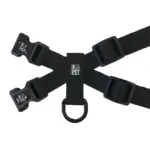 Personalised Pet Harness - Furberry, Blue - Image 3