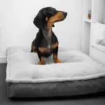 Luxury Dog Mattress Orthopedic, Storm Grey - Image 3