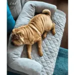 Quilted Pet Sofa Cover - Image 7