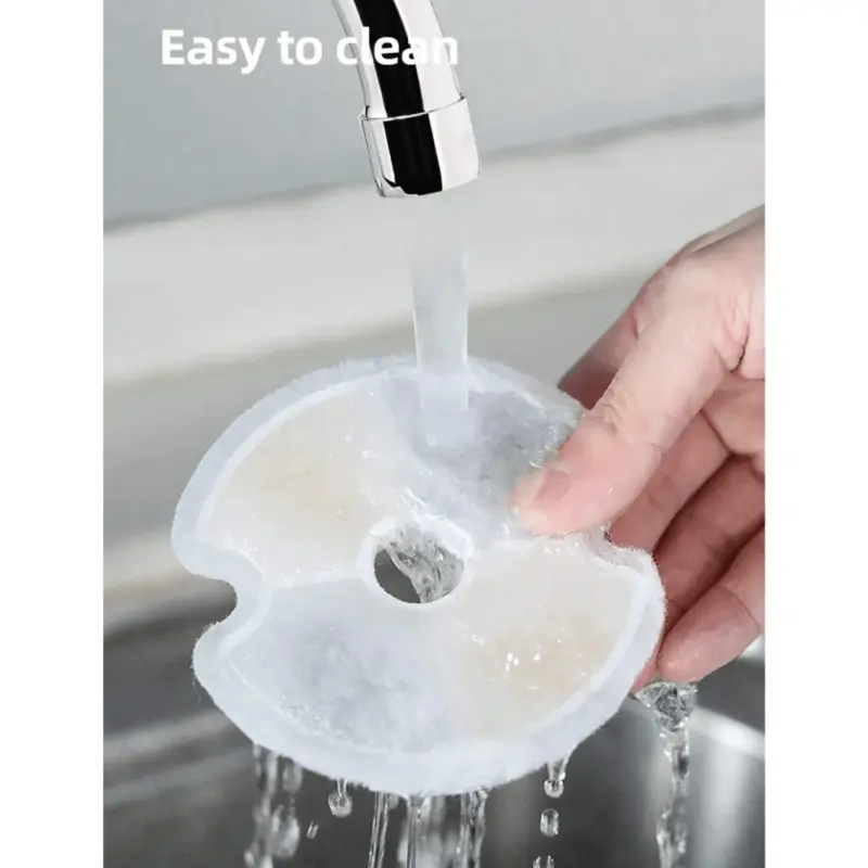 cat portrait - Professional Guide and Review