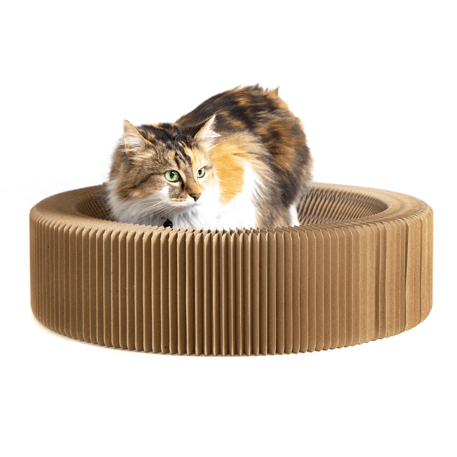 product_image_1761190874.webp Cat Scratcher Collapsible Lounge Bed - Image 1