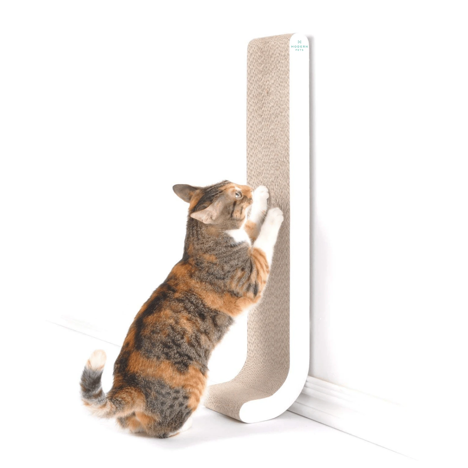 console dog car seat comparison with wall mounted cat scratch post white
