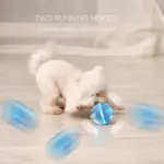 BENTOPAL Colourful LED Self-Rolling Smart Ball - Image 3