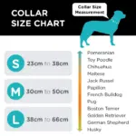 Woof Concept Dog Collar, Rove - Image 3