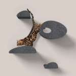 hunting dog coats|insulated dog kennel australia