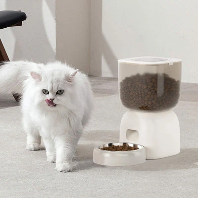 kitter litter tray proper placement showing three-zone rule