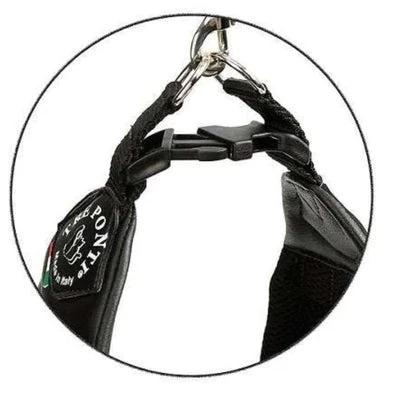 antimicrobial surface close-up on huge cat litter box