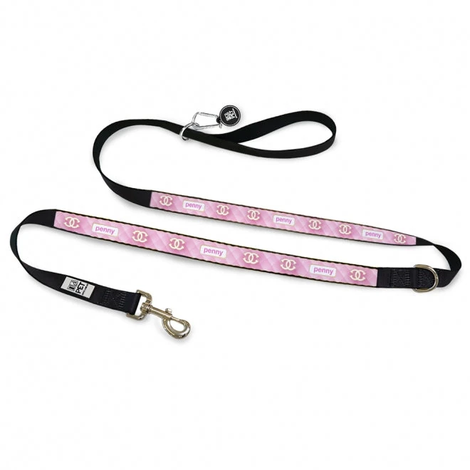 dog collars with tags user review snapshot